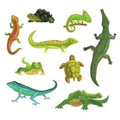 Reptiles and amphibians set of vector Illustrations