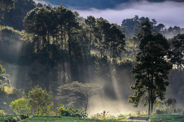 the-light-is-shining.