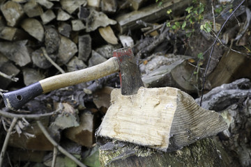 Cut firewood