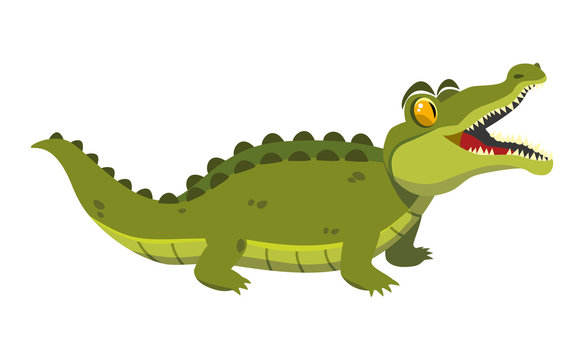 funny green crocodile on a white background. vector