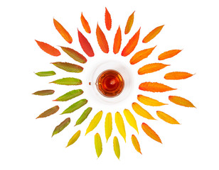 Autumn leaves tea isolated white background Flat lay pattern