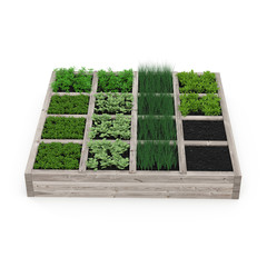 Wooden box with a young garden on white. 3D illustration