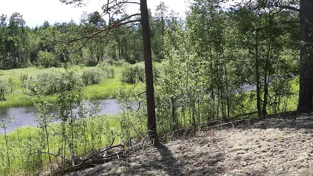Panoramic view from right to left of a typical landscape for the Siberian taiga
