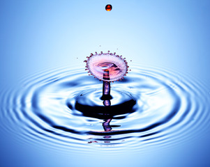 Droplet