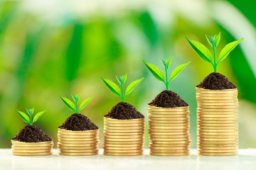 Growth tree on collect coins