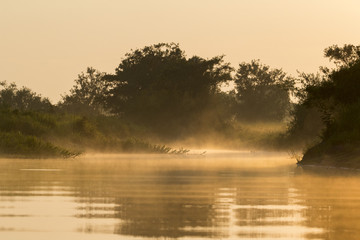 Obraz na płótnie Canvas Sonnenaufgang im Pantanal