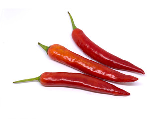 Close up Chili isolated on white backgrounds