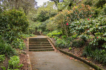 Stone Path Through Garden 