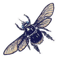 Color bee hand drawn. Isolated insect bumble bee with wings on white background. Vector.
