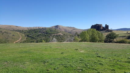 In the natural park of the high Tajo in Guadalajara