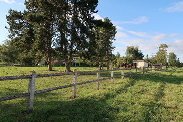 Fototapeta na wymiar French pasture