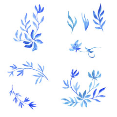 Fototapeta na wymiar watercolor doodle plants and flowers