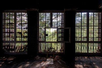 Day Room Overlooking Pine Forest - Abandoned Hudson River State Hospital - New York