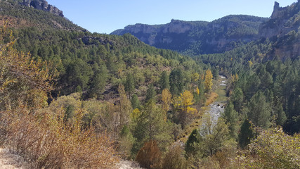 In the natural park of the high Tajo in Guadalajara