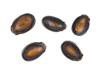 Macro group of watermelon seeds on white background.