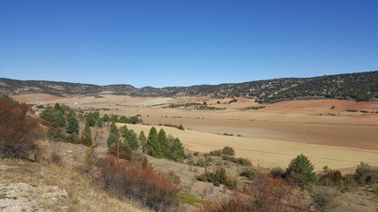 In the natural park of the high Tajo in Guadalajara