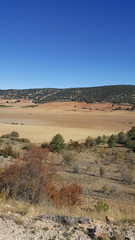 In the natural park of the high Tajo in Guadalajara