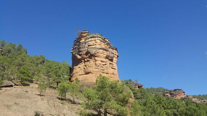 In the natural park of the high Tajo in Guadalajara