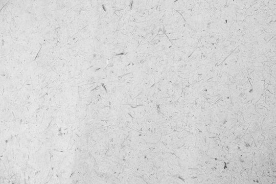 Mulberry paper with dry flower and leaf texture background,black and white tone