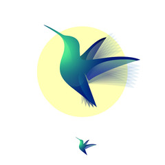 Naklejka premium Colibri logo. Tropical bird. Hummingbird on yellow background.