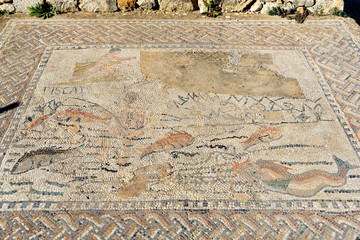 Floor mosaic in House in Roman ruins, ancient Roman city of Volubilis. Morocco