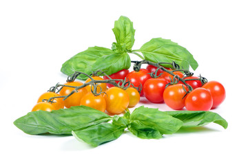 Tomato and Basil © oqba
