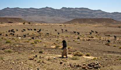 a Berber woman assisting herds along the river