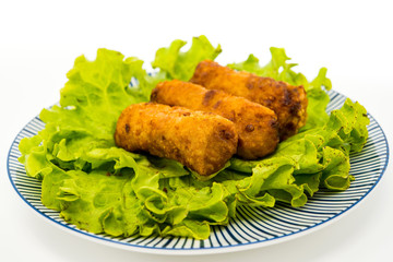 Homemade Spring rolls on a plate