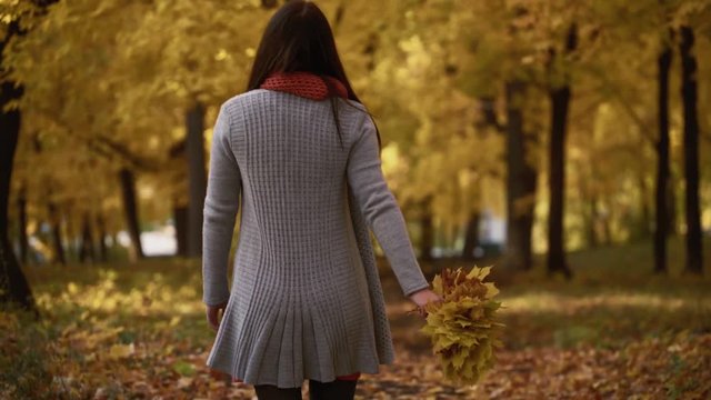 young girl walks in the park in autumn.