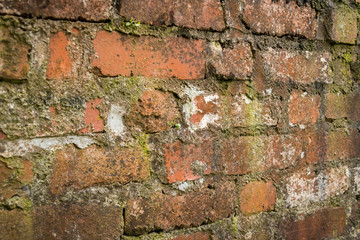 Old Brick Wall