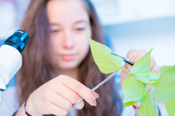 schoolgirl in a class of biology is studying a green plant