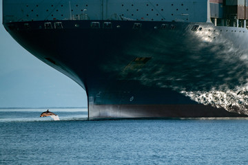 dauphin sautant par-dessus la proue d& 39 un navire