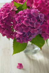 hydrangea on wooden surface