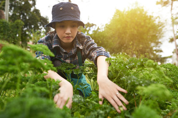 Pretty young woman wearing checked shirt and bucket hat working at vegetable garden illuminated with daylight, portrait shot