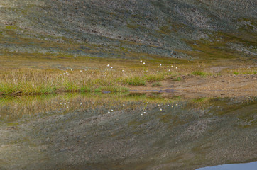 Wildlife Altai. The river, mountains and sky with clouds in summer