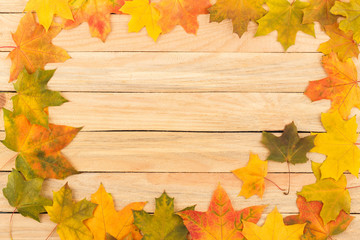 Colored maple leaves on the light wooden boards
