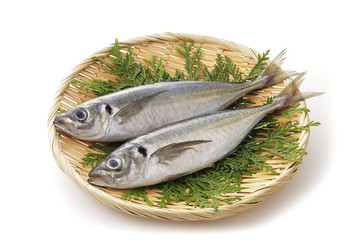 あじ Horse mackerel