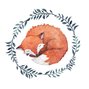 A cute sleeping fox inside a wreath of branches.
