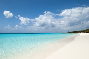 Caribbean Wild Beach