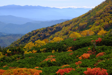 乗鞍岳の紅葉