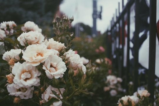 Processed with VSCO with p5 preset