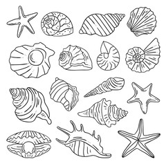 Sea shells, starfish, perl hand drawn outline vector illustration