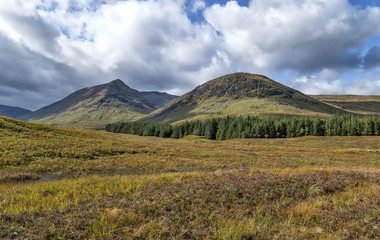 Obraz premium West Highland Way in Scotland between Bridge of Orchy and Glencoe