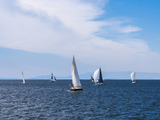 sailing race at sea
