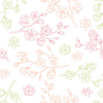 Magnolia flower graphic color sketch seamless pattern illustration vector
