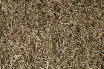 Getrocknetes Heu Hintergrund © fotomowo