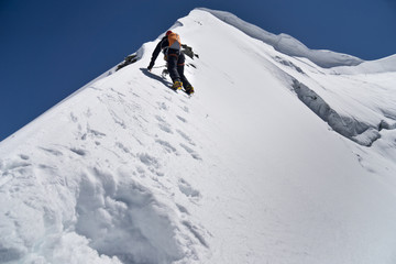 Naklejka na ściany i meble Bergsteiger klettert Firngrat oder Eiswand, Piz Palü via Ostpfeiler, Kuffnerpfeiler, in Bernina