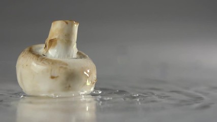 Mushrooms are falling into the water