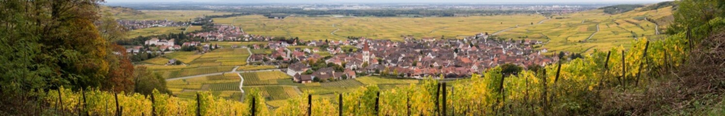 Route des vins d'Alsace, village d'Ammerschwihr et la plaine d'Alsace, Haut-Rhin, Alsace, Grand Est, France