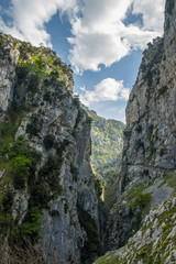 Fototapeta premium Ruta del Cares trail in Picos de Europa mountains